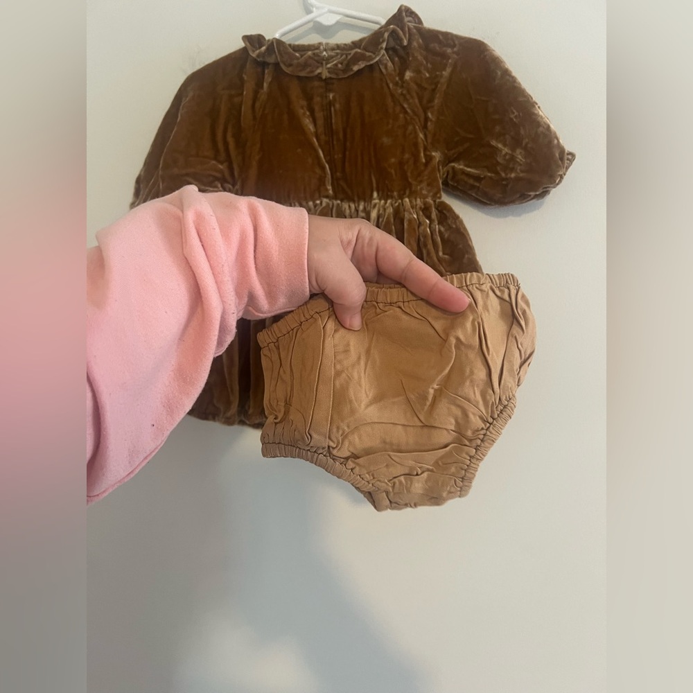 Noralee Velvet Baby Dress with Bloomers 6M NWT Brown Ruffle Collar - Picture 5 of 5